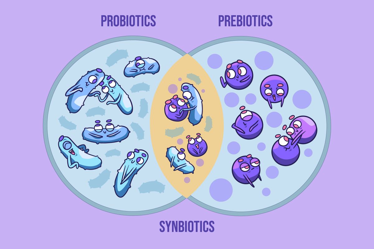 Probiotikumok, prebiotikumok és szinbiotikumok